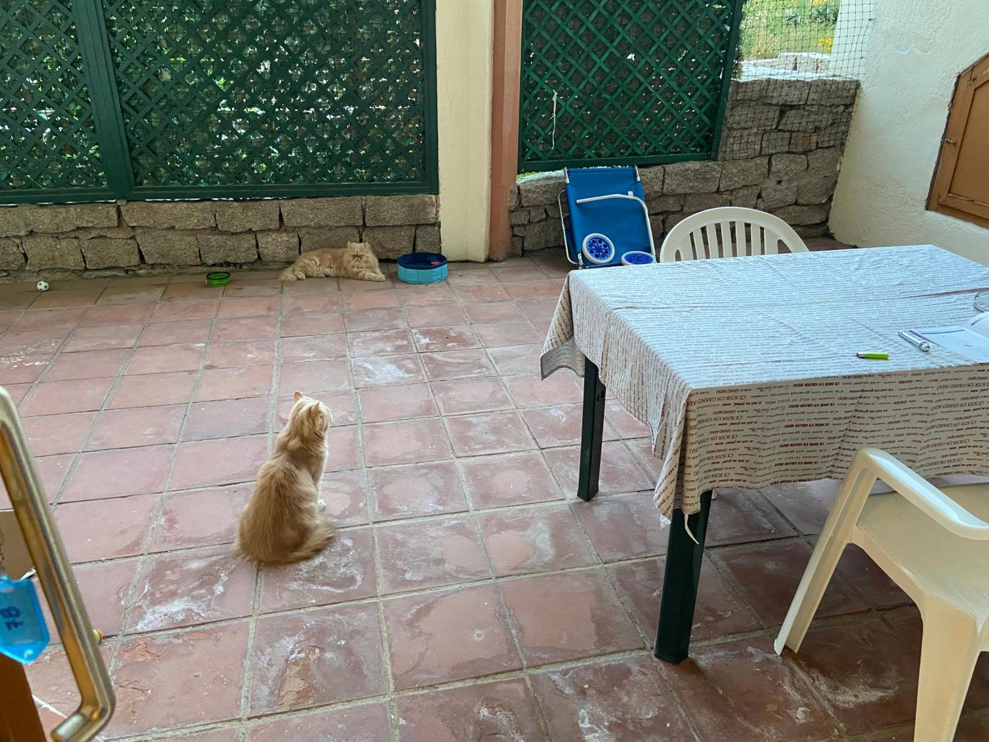 Club Esse Residence Capo D'Orso ปาเลา ภายนอก รูปภาพ