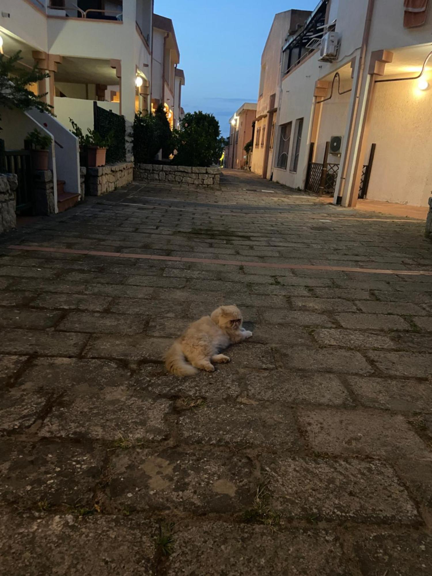 Club Esse Residence Capo D'Orso ปาเลา ภายนอก รูปภาพ